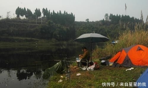 「天气」这里的鱼不仅多, 而且傻, 钓鱼拉得手抽筋