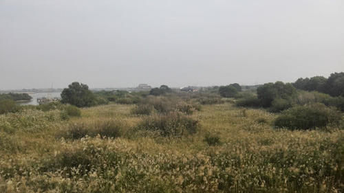 为什么山东最有钱的城市不是济南和青岛？而是这座鲜为人知的小城