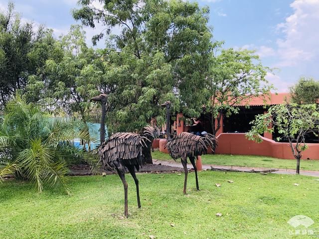 中国小伙来非洲旅游，看到当地村落，感觉自己住的酒店简直是天堂