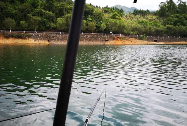  『试试』初夏钓鱼没口？试试这几个“歪门邪道”