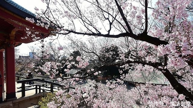 日本旅游应该知道的6条小建议，非常实用，一定不要忽视