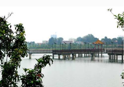 有“中原粮仓”之称，河南省的一个直管县！