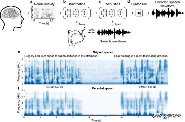 Nature重磅：华裔科学家成功解码脑电波，AI直接从大脑中合成语音