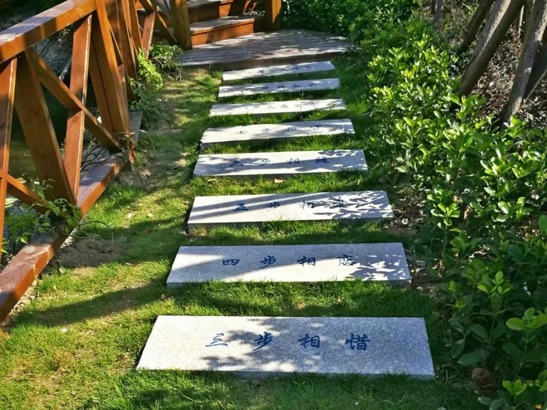 长乐美丽乡村:寻一方村落,等风也等你