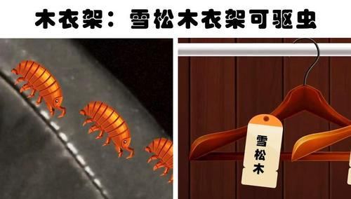  [用来]关于生活常见物品，你所不知道的10种隐藏用途