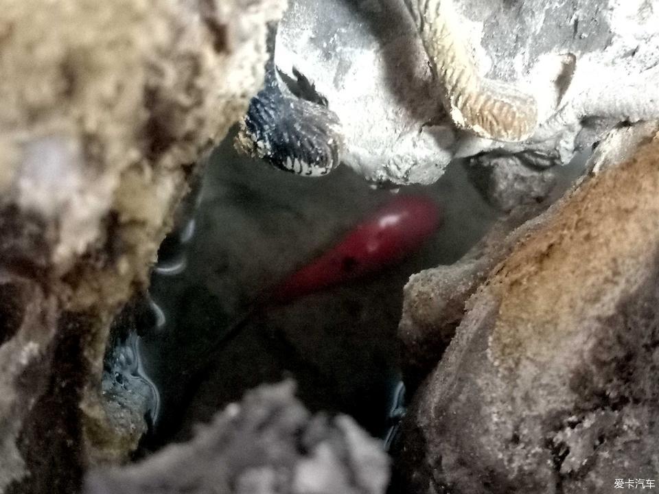 小山水盆景里的大千世界