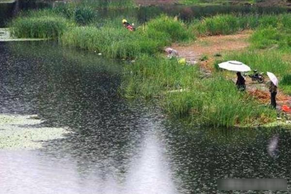  【绵绵细雨】最适合春季钓鱼几种天气，这些天气鱼儿疯狂开口，收获肯定差不了