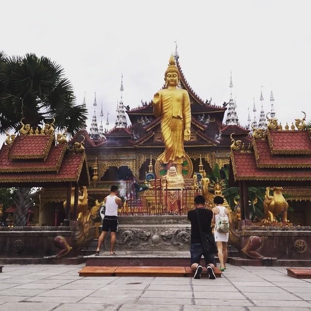 是什么魅力让这么多人自驾去西双版纳过春节，看了你就知道！