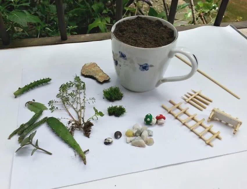  「花园」在茶杯里建花园，美到惊艳！31万网友疯狂点赞：这是我不曾见过的童话世界！