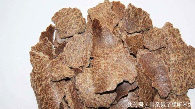  「钓友」分享1套好用还省钱的窝料配方，四季钓鱼打窝都能用
