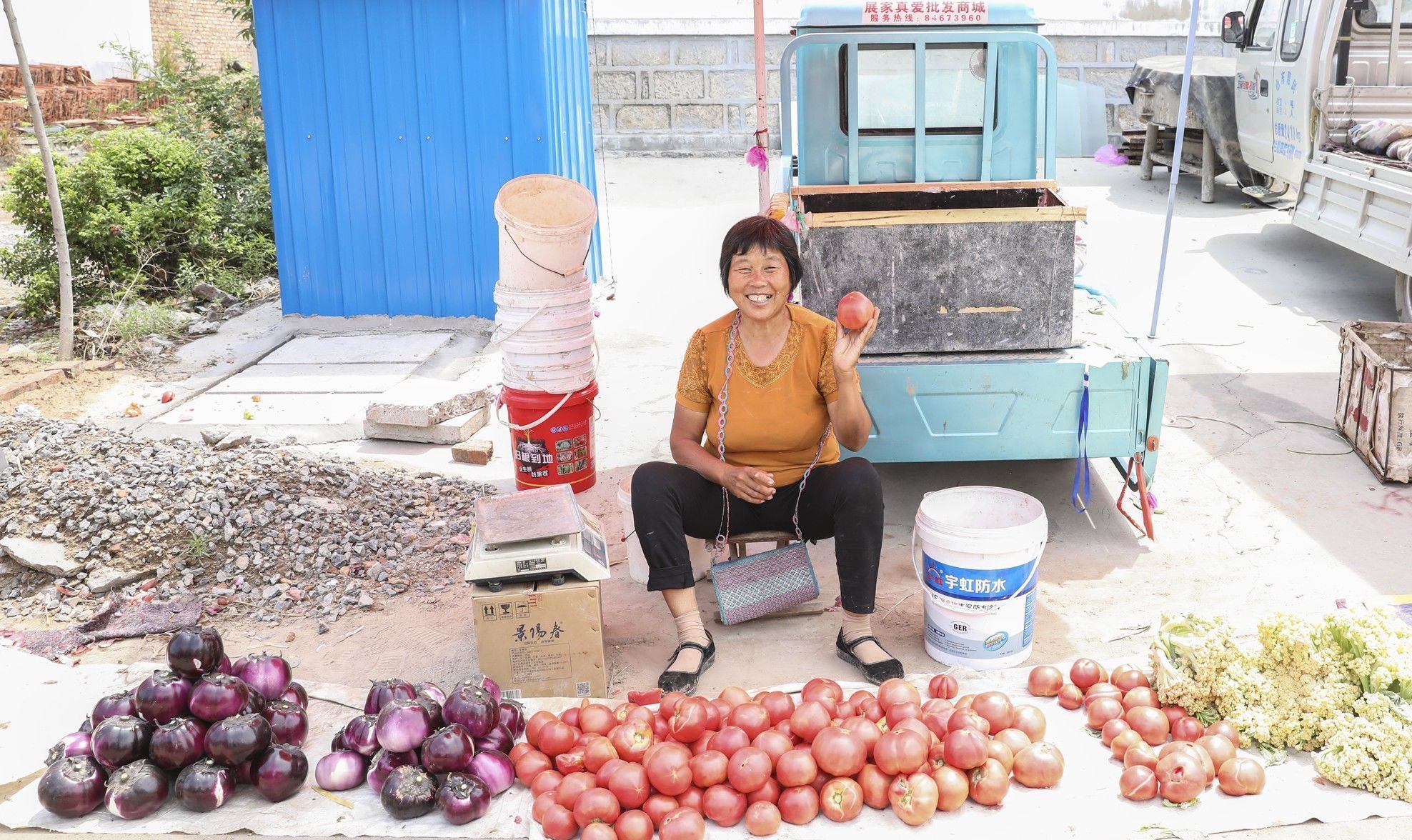  【奶奶】山东6旬农民大妈种8亩西红柿，大集做生意还要看孙子，