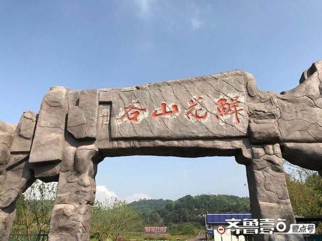  「鲜花」诗歌丨鲜花山谷游
