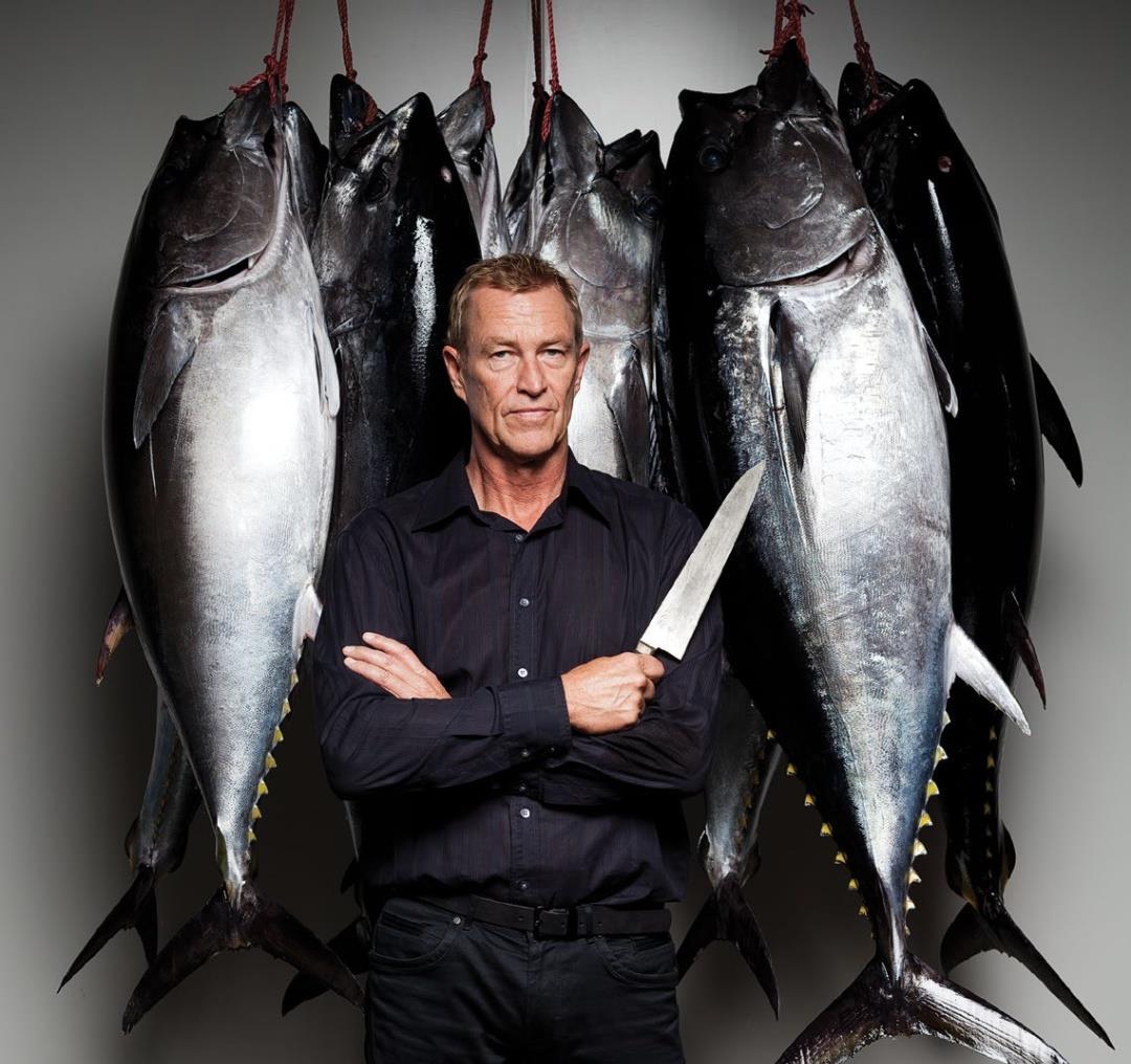 海鲜的天堂,金枪鱼胖成球,为什么索马里成了鱼类的避风港?