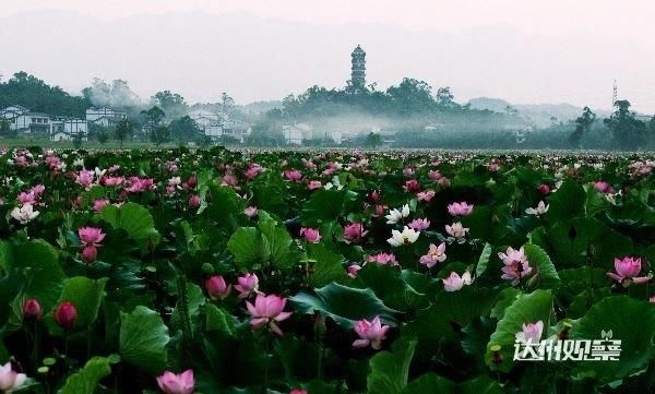 太棒了！开江的这个地方正在创建国家4A级景区