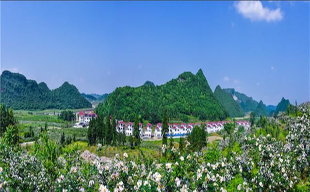 四川大山里发现一片别墅，周围都是原始森林，为何要在此建房子