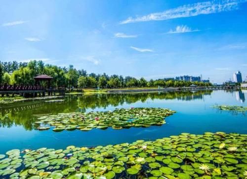  发展：河南发展“不可限量”的3个城市，一个属于中原城市群，一