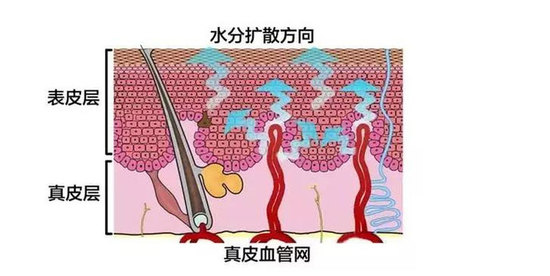 惊呆了!别人不会告诉你的"面膜真相"!