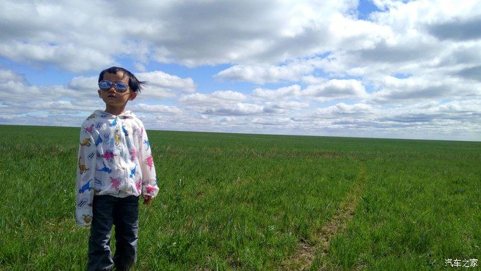 自驾RAV4荣放，蓝天白云——望无际的大草原