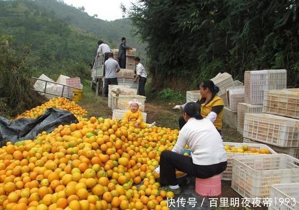  「价格」一人10天就卖了50吨，批发价高达6元，消费者：这次农民