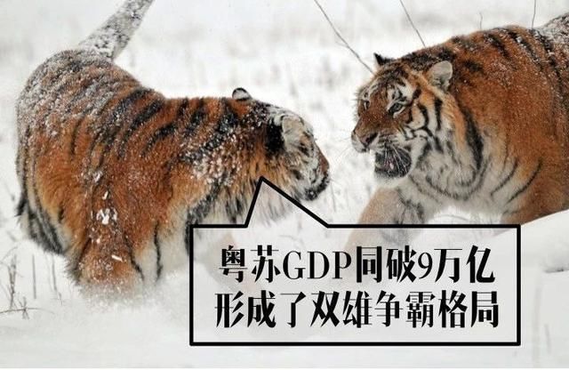 粤苏争霸40年，广东凭什么胜出?