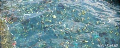 南海“吹沙填海工程”现状 美济礁已成为“美济岛”, 鼓舞人心!