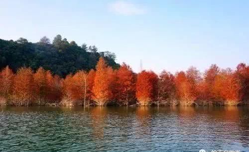 安徽10条最美的旅游线路，每一条都是自驾游爱好者向往的地方！