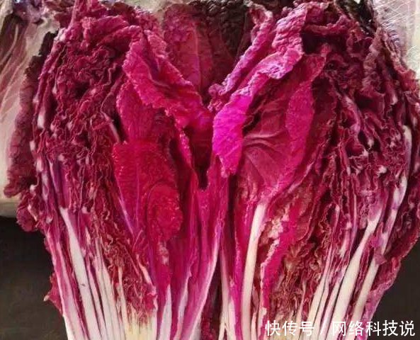 农村种植一种白菜，价格高过猪肉，亩产5千斤，农民年赚几十万