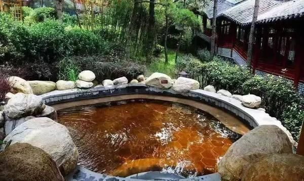 “高铁环游齐鲁”专享!鲁南高铁沿线40多家景区推出门票优惠