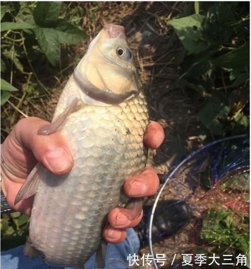  『春天』为啥春季也钓不到鱼？不是鱼不爱吃饵，是你犯了这几个错