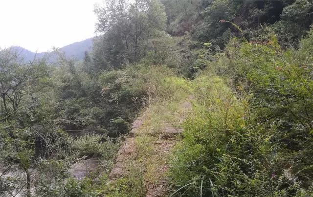  「大若岩镇」温州芙蓉岭古道，浙江省十大人文古道之一