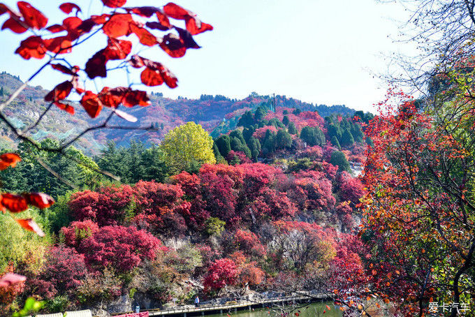 红遍万山的红叶谷【2020热门旅游景点】