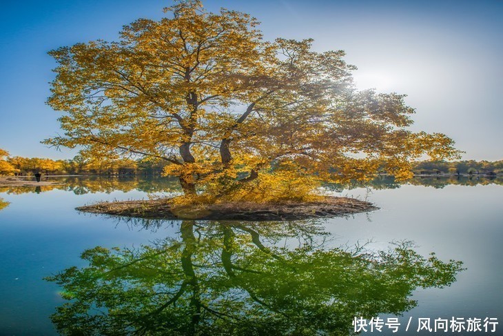 走进金塔和额济纳旗金色胡杨林，沿途欣赏戈壁风光、胡杨林秋色。