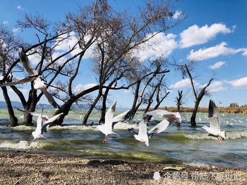 冬日里来一次说走就走的肆意温暖-昆明