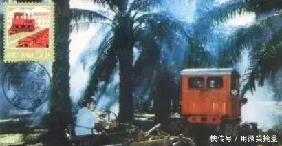 国家重工业城市洛阳十大厂矿疑云