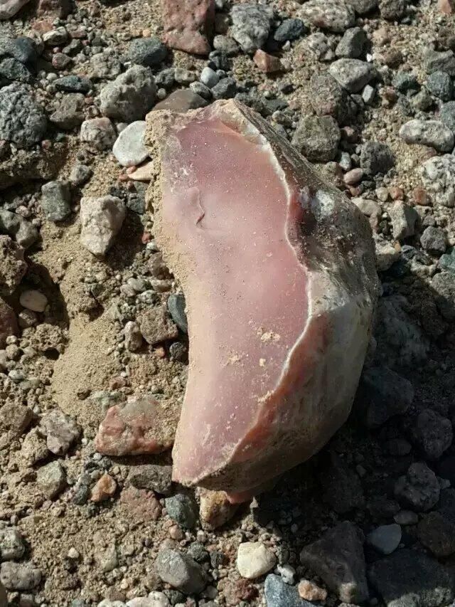 那么多人冒死深入罗布泊，只为捡这种石头！