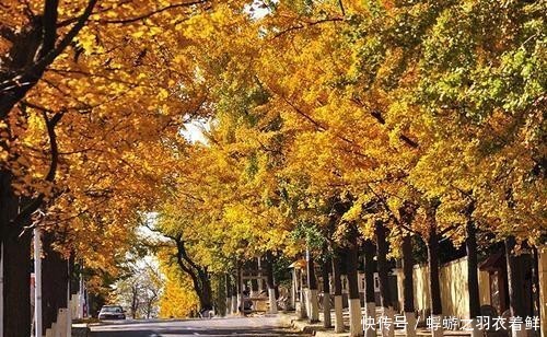 我国最适合“避寒”的城市，南北方各一半，第一名在意料之内