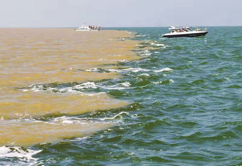 东营丨走过沧海桑田，终是在芦花飞雪的秋日遇见你