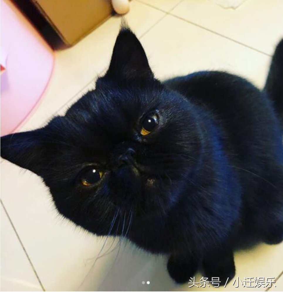 关晓彤仅用一张图片回应分手传闻，却被网友大赞高情商