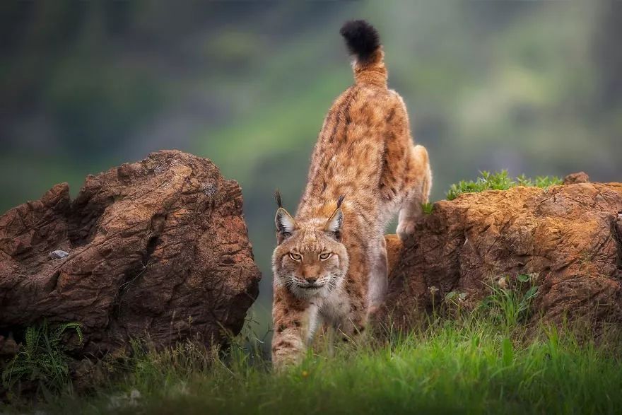 9 个月,130000 张照片,这个摄影奖公布了最终入围作品