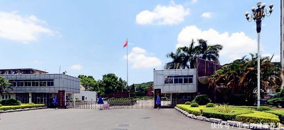 福建9市人民政府一览，泉州最威严、三明最俭朴、龙岩最大气