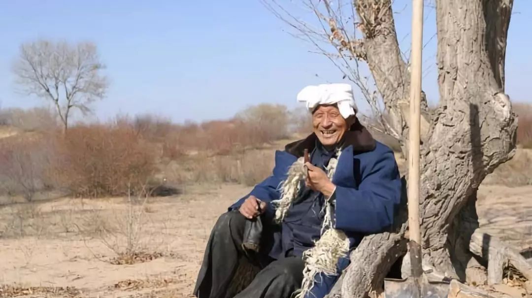  心血@中国40年“心血结晶”: 第一个沙漠即将消失, 却引来外国人