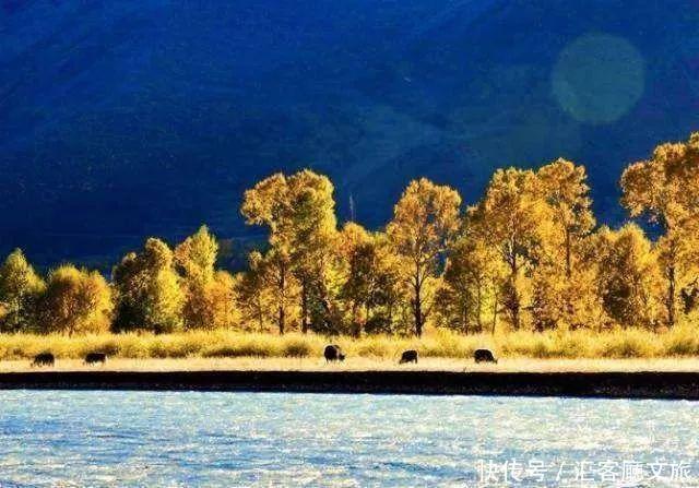 9处适合深度游7天的旅行地,带你收获全国最美的秋景