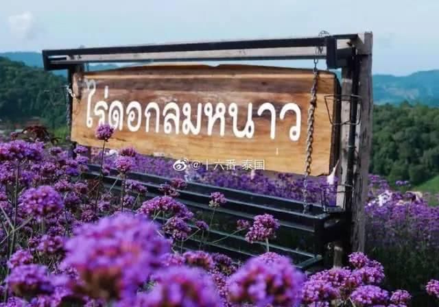 这个网红地儿，来多少次都不会腻！签证好办，性价比高过日本！