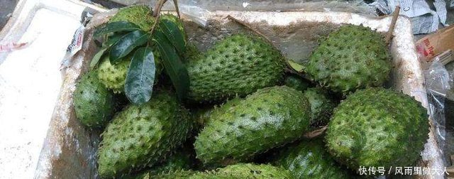 农民种植一种奇丑无比的水果，一个2斤重，20元一斤却贵过榴莲