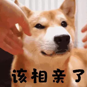 一对男女相亲成功, 之后却被婚介所老板告了!