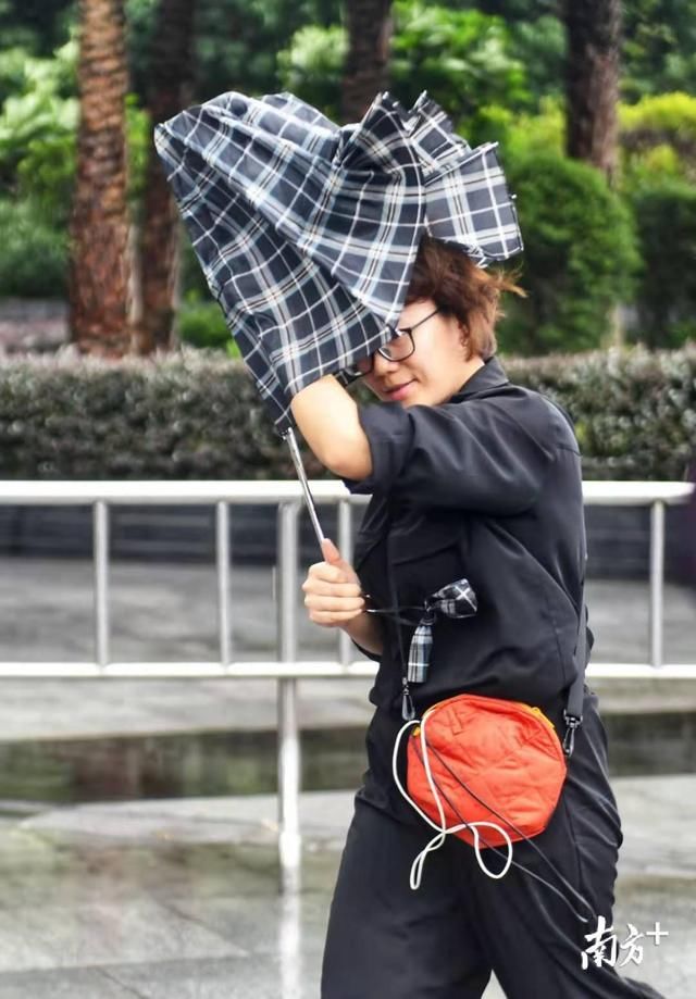 抓稳你的伞！台风天，广州迎来大风大雨