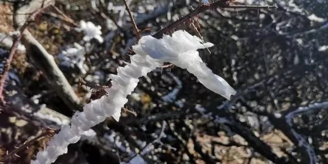 轿子雪山冬意浓，邂逅画里的轿子雪山