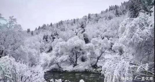 四川阿坝的初雪，成为“表白胜地”？到处都是浪漫的气息！