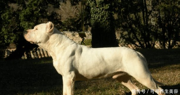 t01c5bea127d560db16.jpg?size=612x325