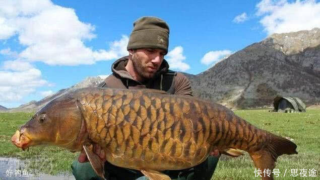 中国长江是否该禁钓鱼?禁渔期,仍有大量钓鱼人江边垂钓，鱼获惊人